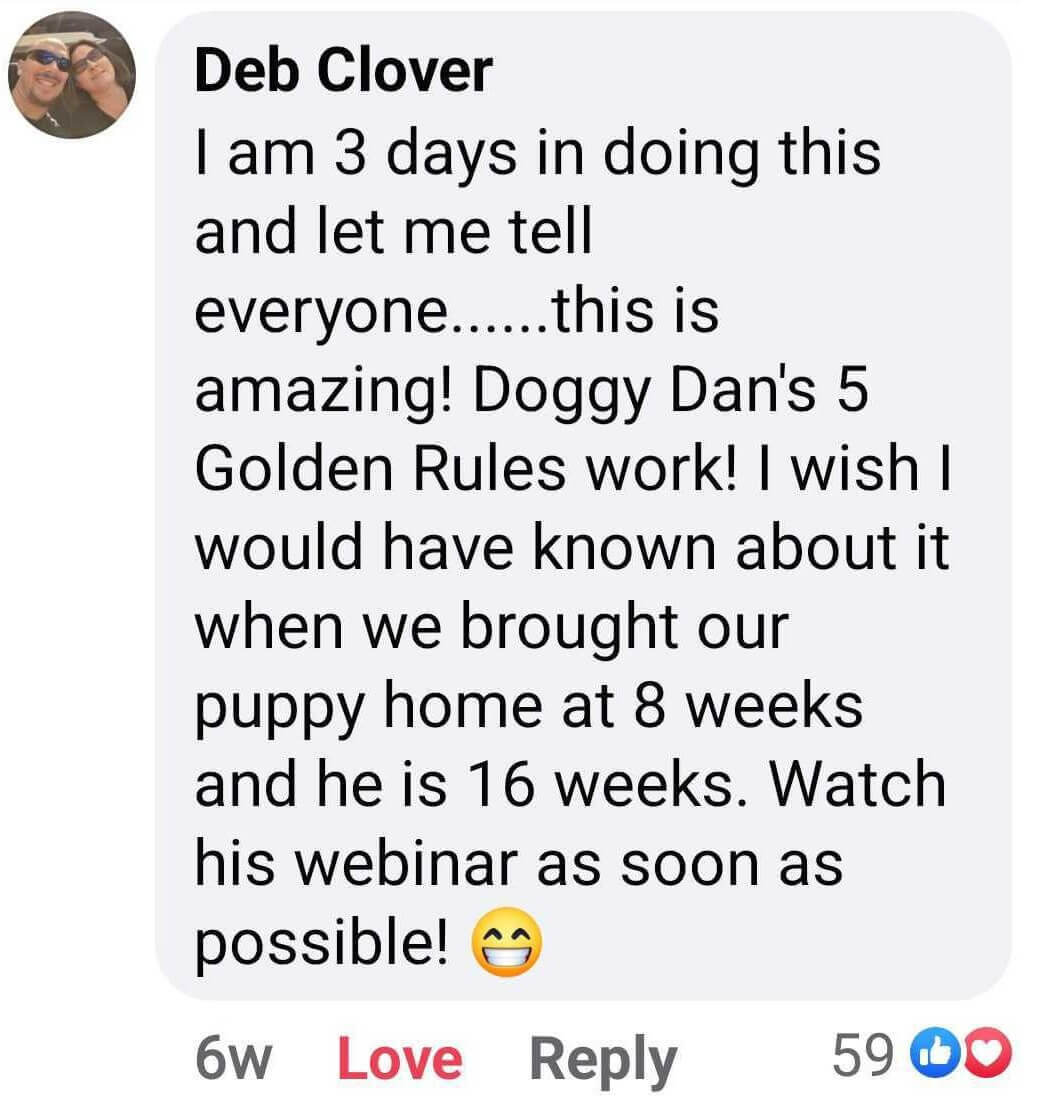 Doggy Dan Reviews Deb Clover