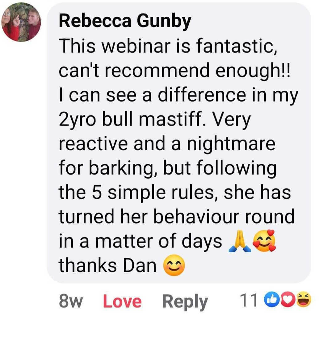 Doggy Dan Reviews Rebecca Gunby