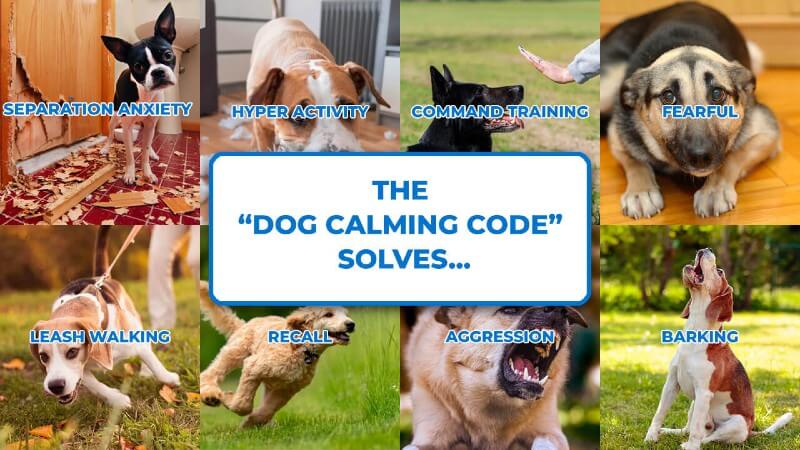 The Dog Calming Code Solves...